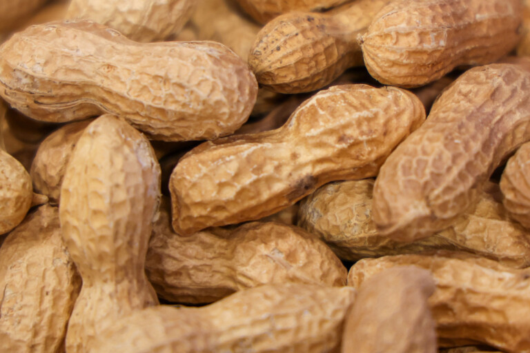 peanuts close up