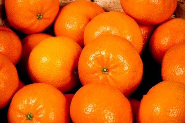 Chilean citrus