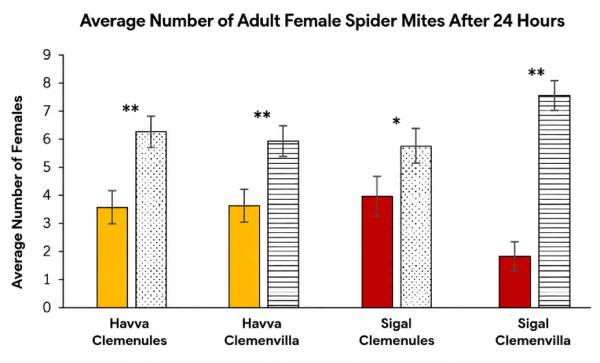 Havva mandarin test results