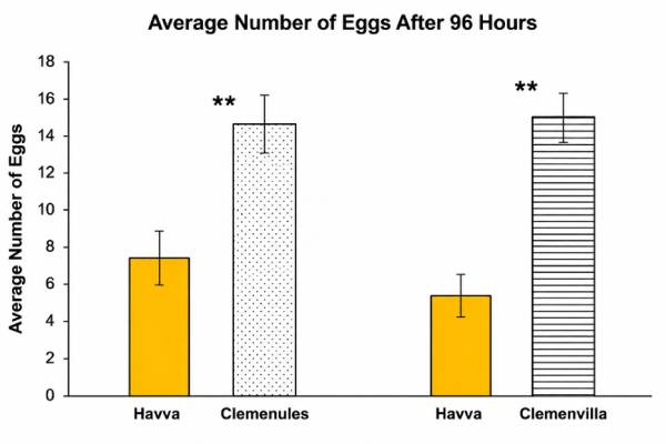 havva test results