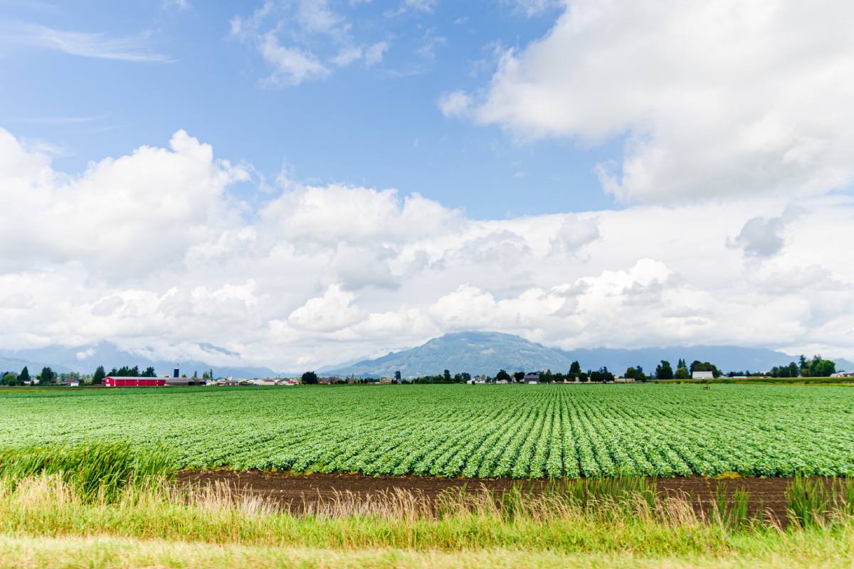 Climate change is altering Canada’s growing environment, highlighting the value of crop diversity