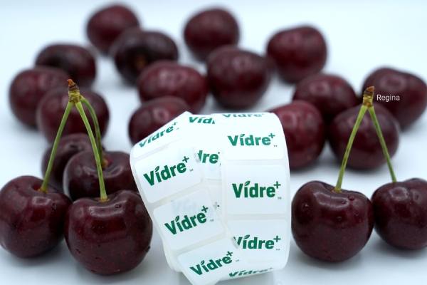 frost protection Vidre