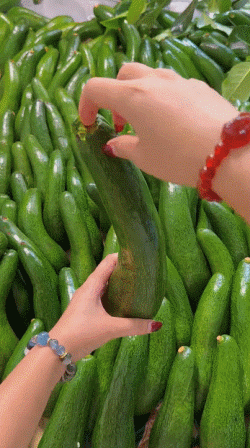 Elongated avocado