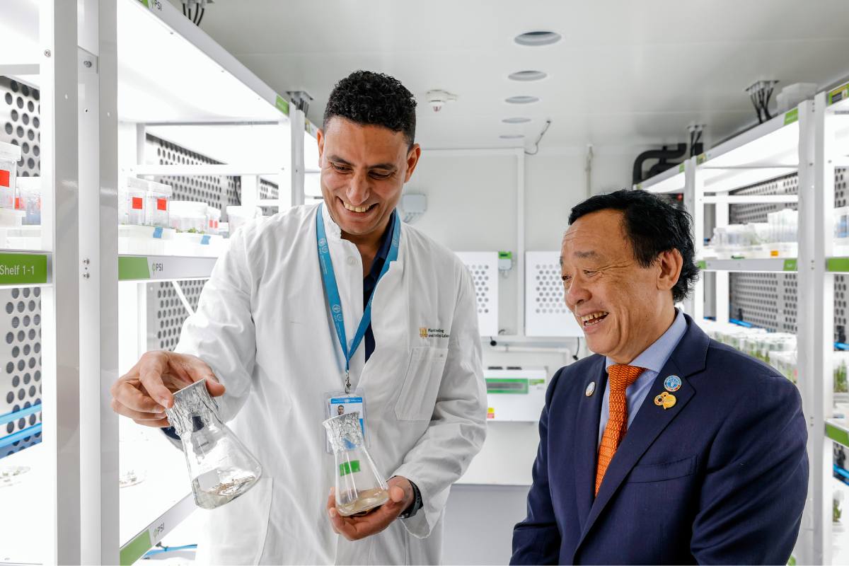 FAO's new data domain tracks agricultural R&D trends worldwide