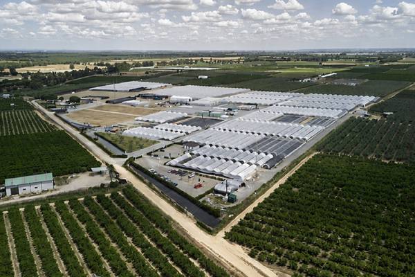 Fall Creek farms in Spain