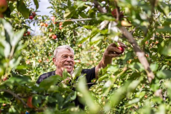 VOG apples - ©ArminHuber
