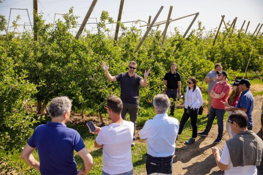 Global agtech leader Hectre to welcome fruit industry executives from 10 countries in Chile tour