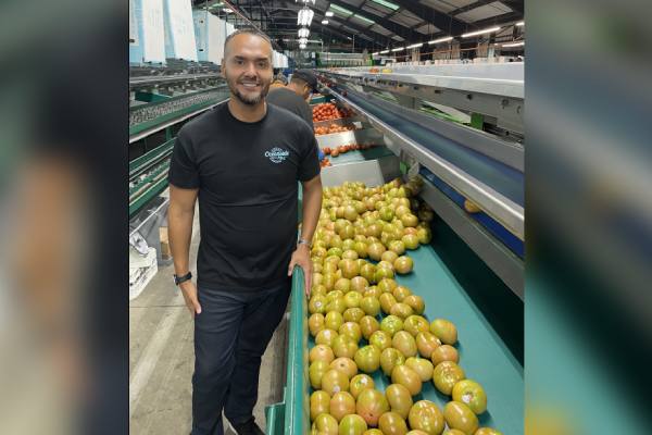 James Galindo from Oceanside tomatoes