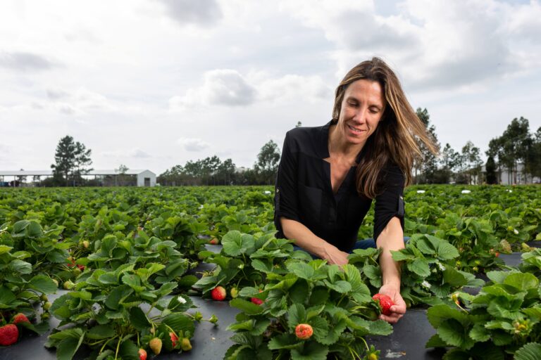 Natalia Peres. Florida strawberry researcher
