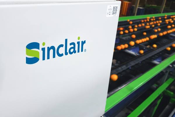 sinclair and clemengold partnership