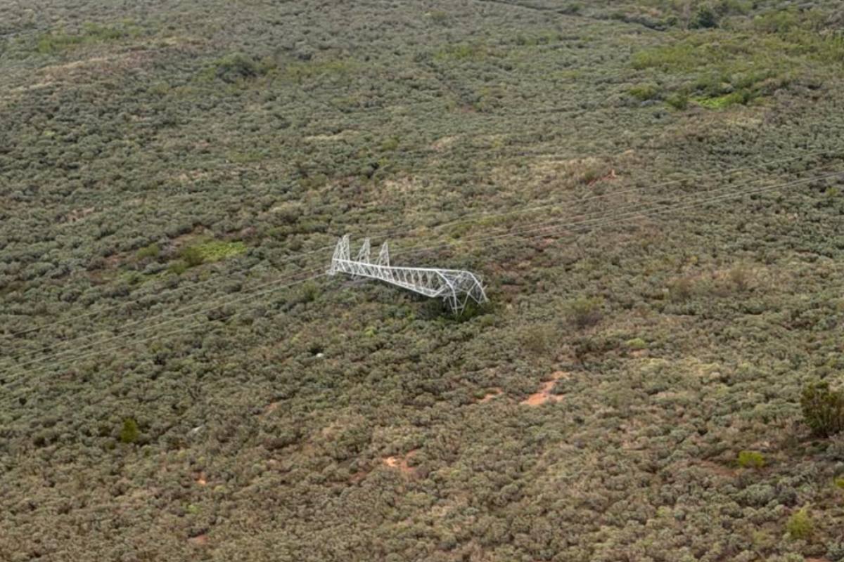 South African growers sound the alarm about electrical outages in the Western Cape