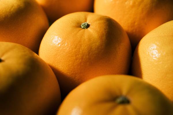 Alizza fruit