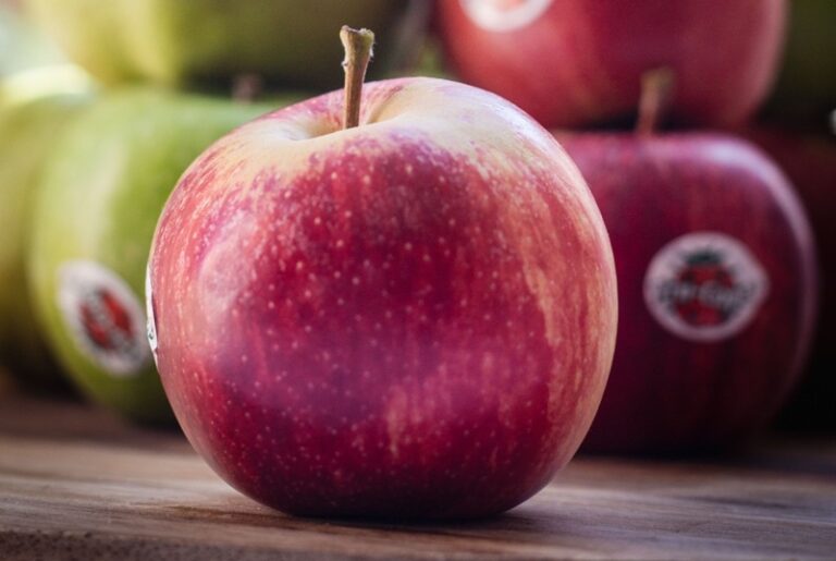 Tru Cape apple probably grown in the Western Cape