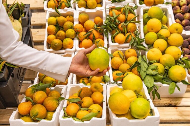 Saudi Arabia citrus display