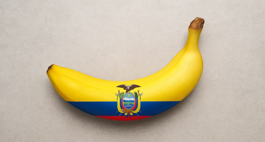 Ecuadorian bananas eye China growth as exports climb