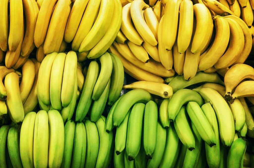 Brazilian banana exports down 22 percent in April on increased competition