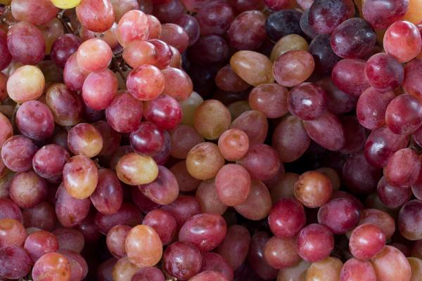 Brazil table grapes