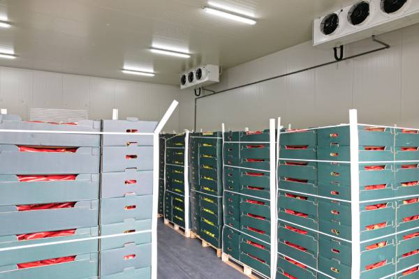 Tech-driven cold chain logistics