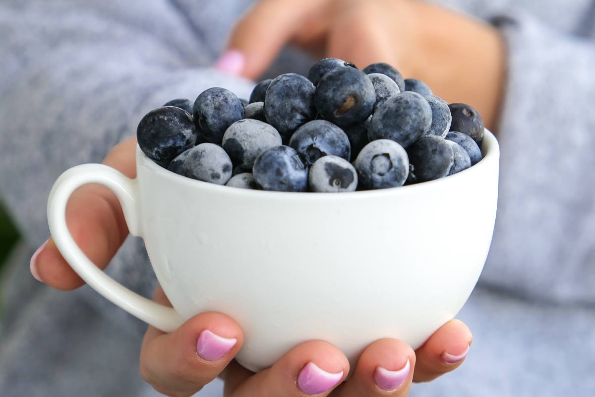 Opinion | Blueberry, the new candy for children and adults