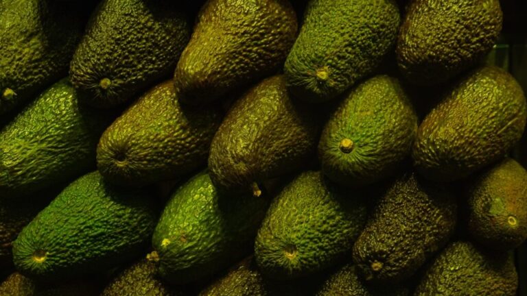 Michoacán avocados