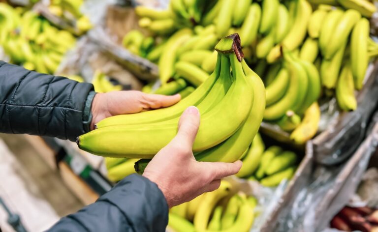 Brazilian banana exports