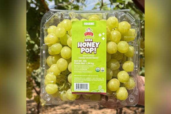 Divine flavor arra honey pop