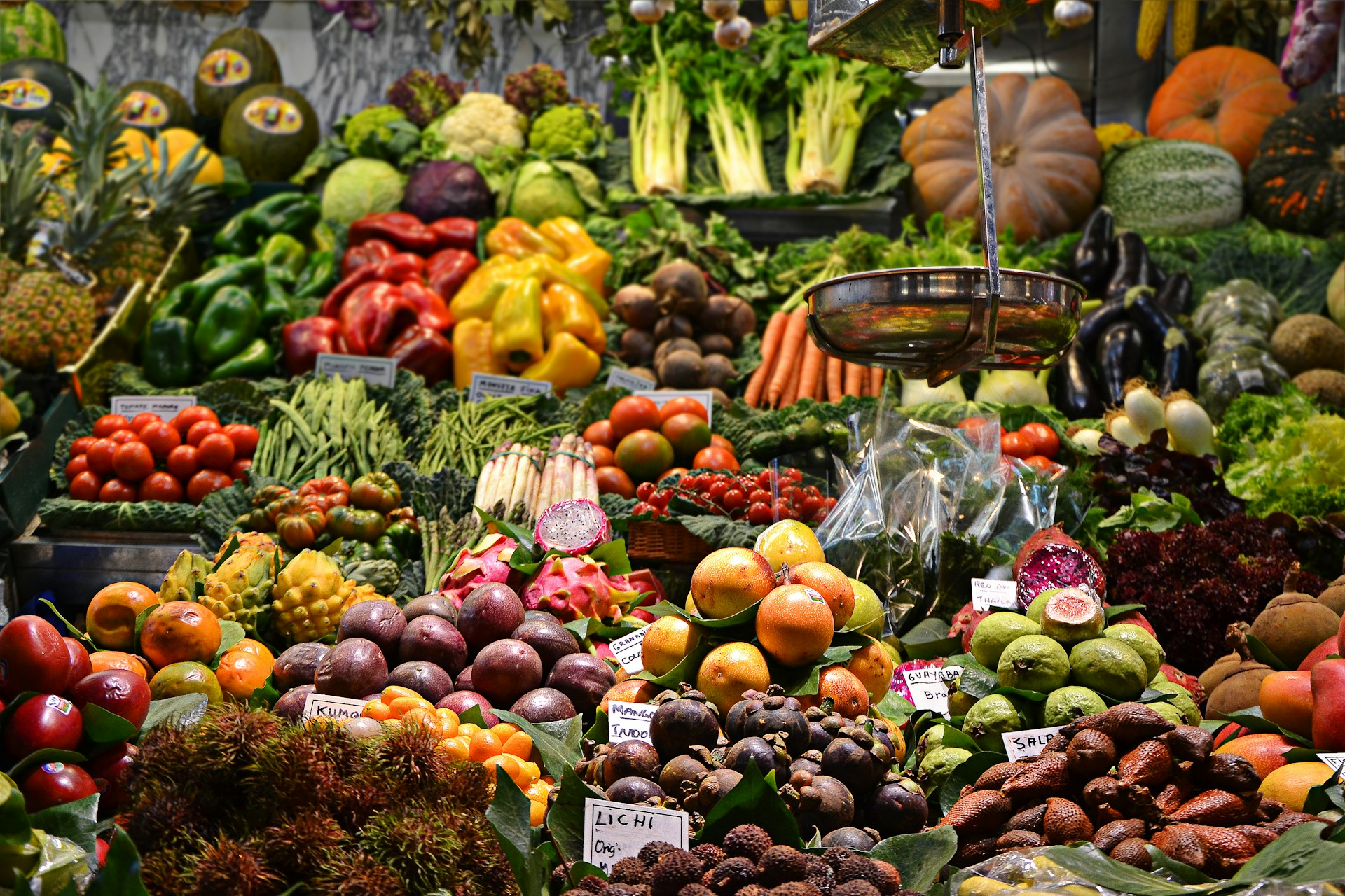 Europe’s food confidence rebounds, but gaps remain