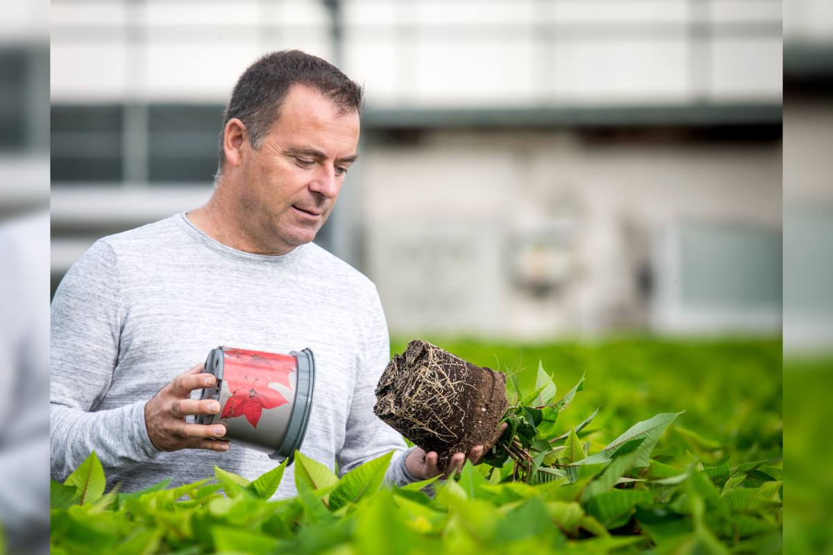Klasmann-Deilmann will showcase its latest future-ready innovations at GreenTech 2026