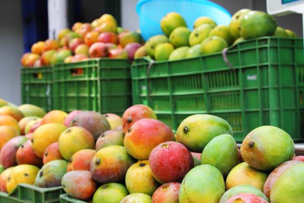 peruvian mango, potentially