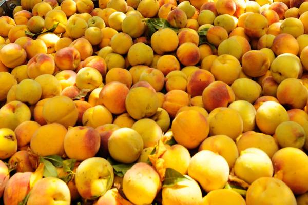 peaches