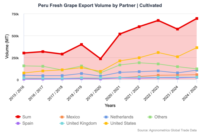 Peru’s grape industry