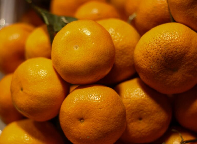 tangerine, potentially from Taiwan