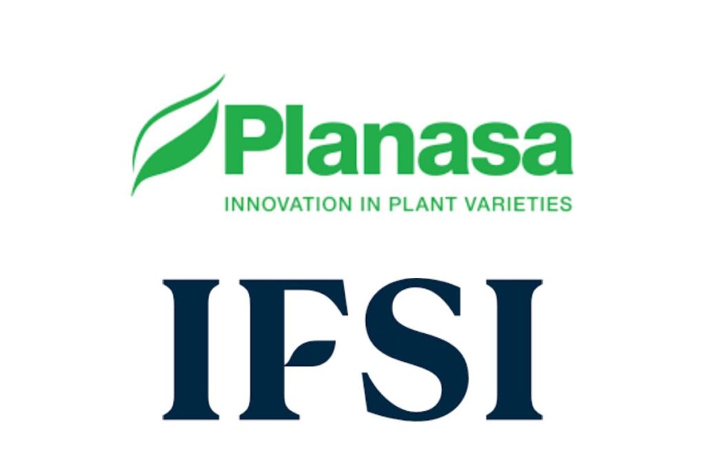 EW Group subsidiary Planasa acquires sweet corn breeder Illinois Foundation Seeds