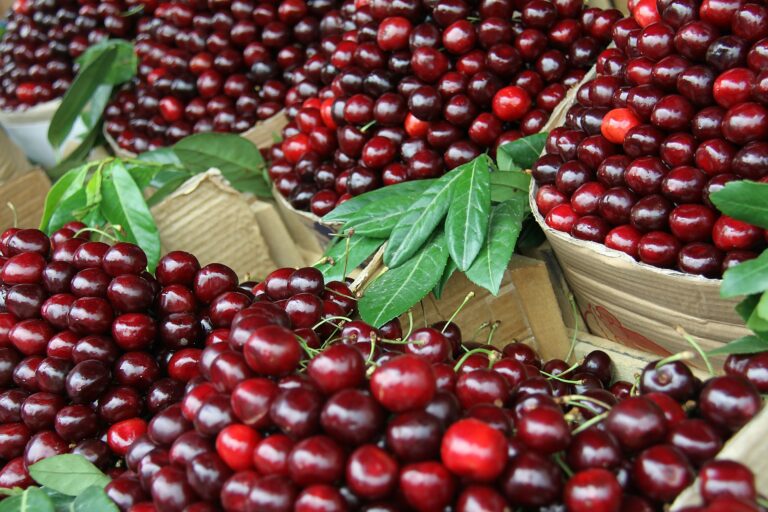 Tart cherry