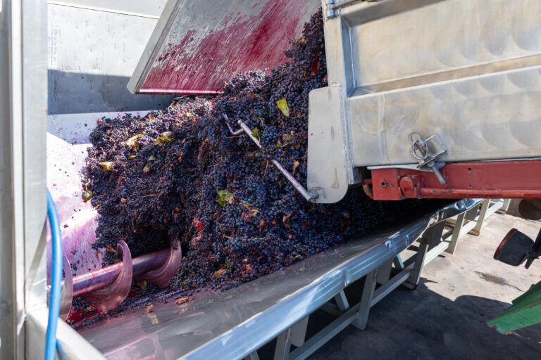 grape crush machinery