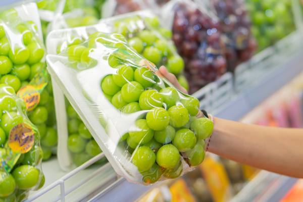 table grape season