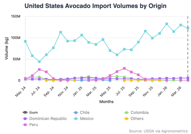 avocado market import