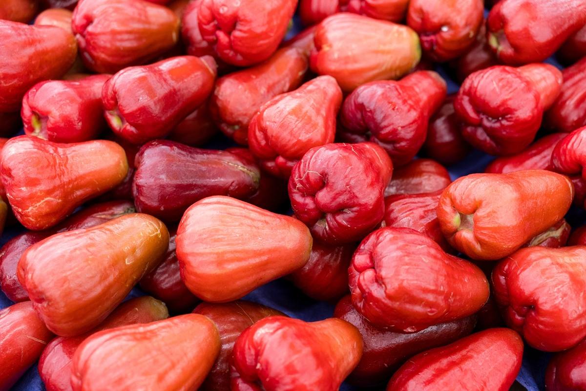 China's wax apples target premium supermarkets in Europe and the Middle East