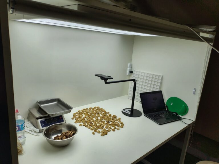 traditional walnut assessment