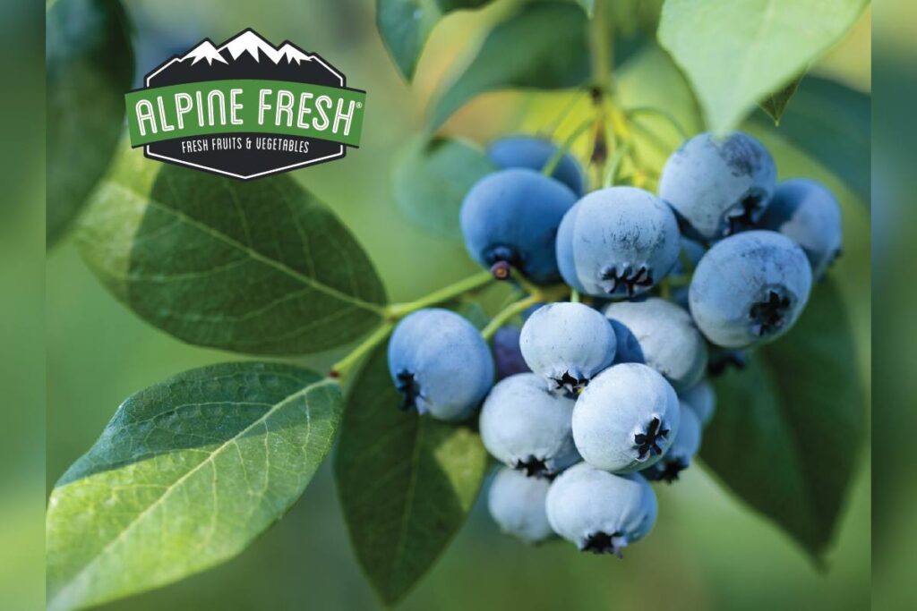 Alpine Fresh invests in ABB Growers 