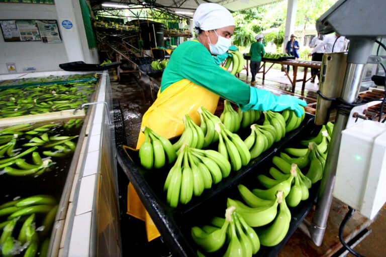 Colombia steps up TR4 protectio