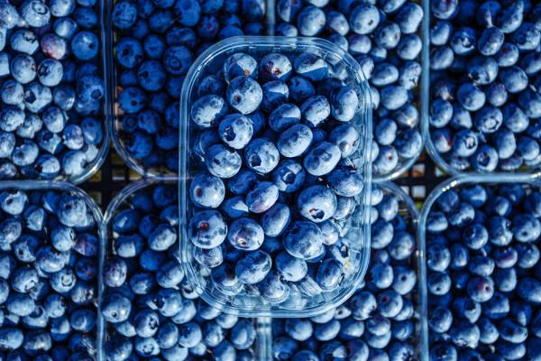 Blueberries