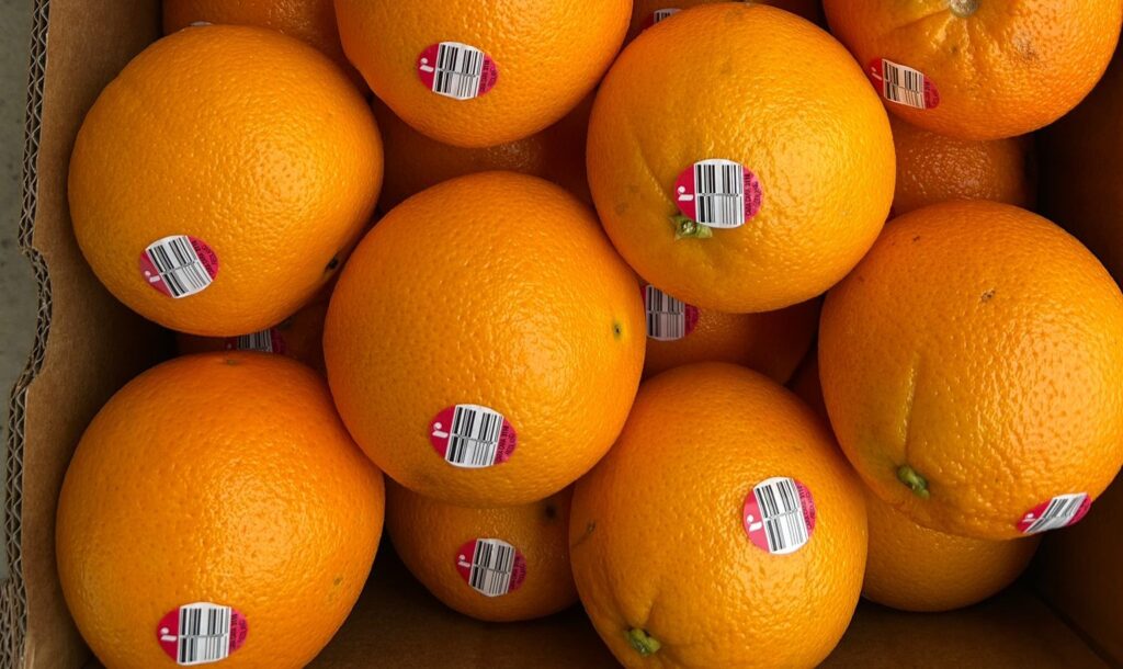 QDC Fresh to ship first Australian citrus of the season to the US