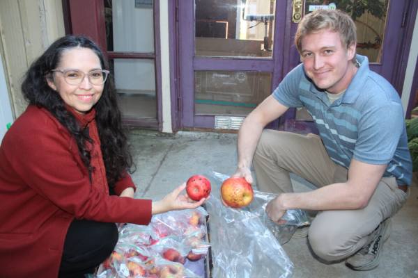 Contreras and Engelsma holding honeycrisp apples affected with bitter pit