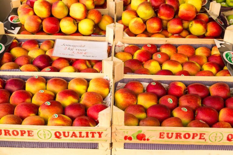 Belgian apple