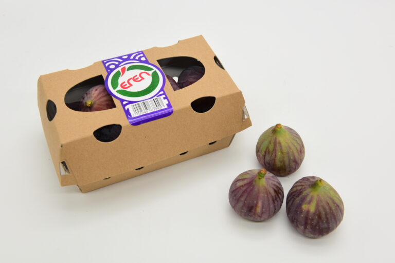 Turkish fig season
