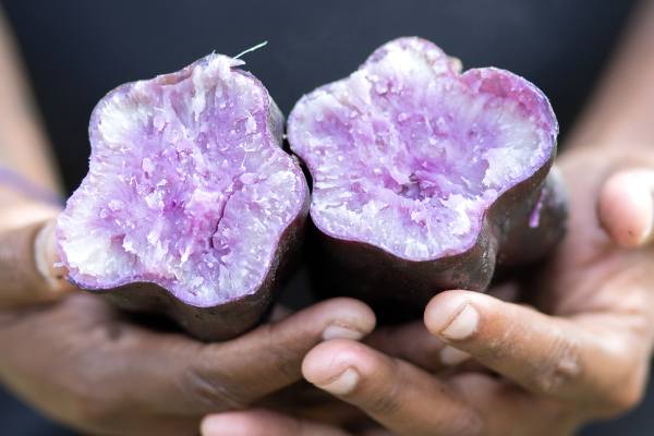 Bolivian potatoes are part of the FAO biodiversity treaty