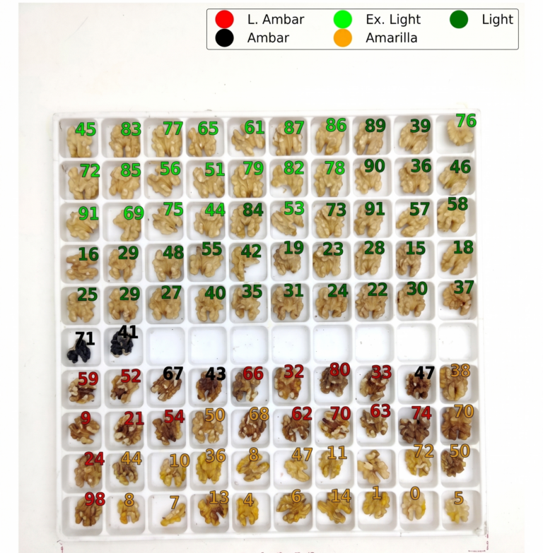 walnut assessment
