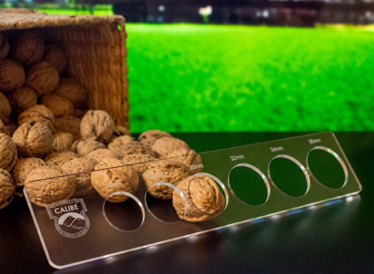 WALNUT ASSESSMENT
