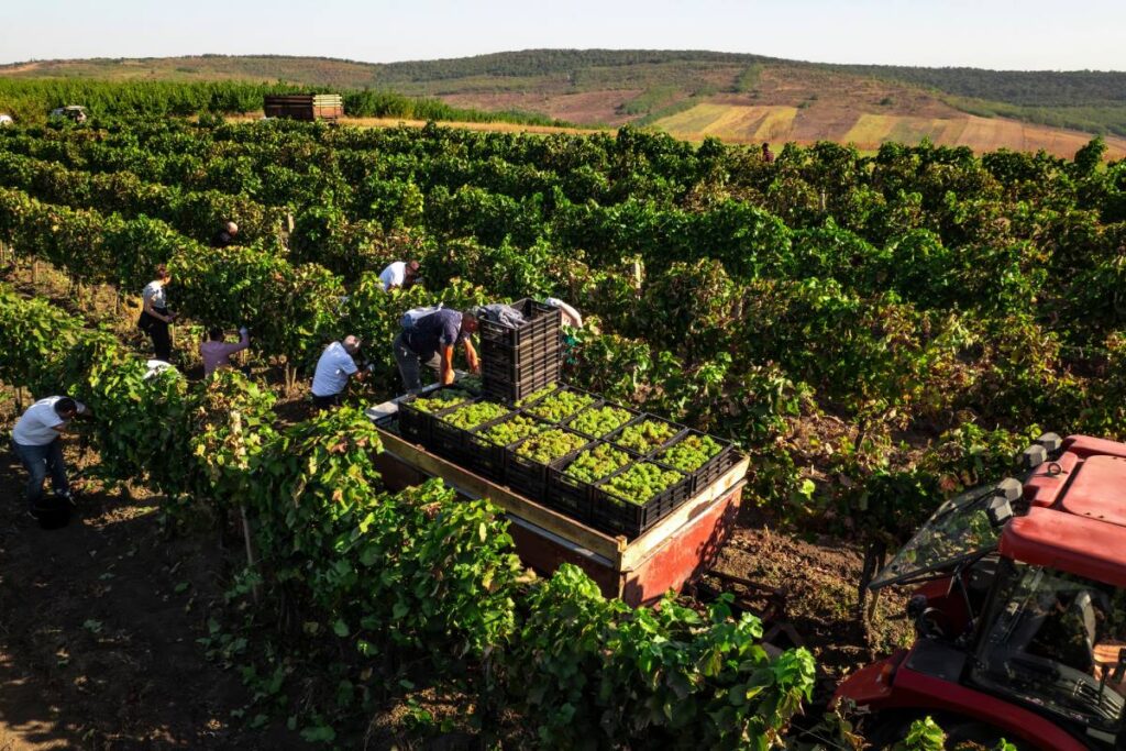 Securing Agriculture’s Workforce (SAWA) Act gets support from the Ag Wage Reform Coalition